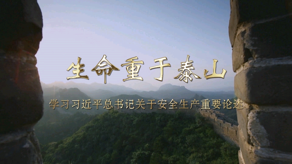 生命重于泰山 《生命重于泰山》电视专题片观后